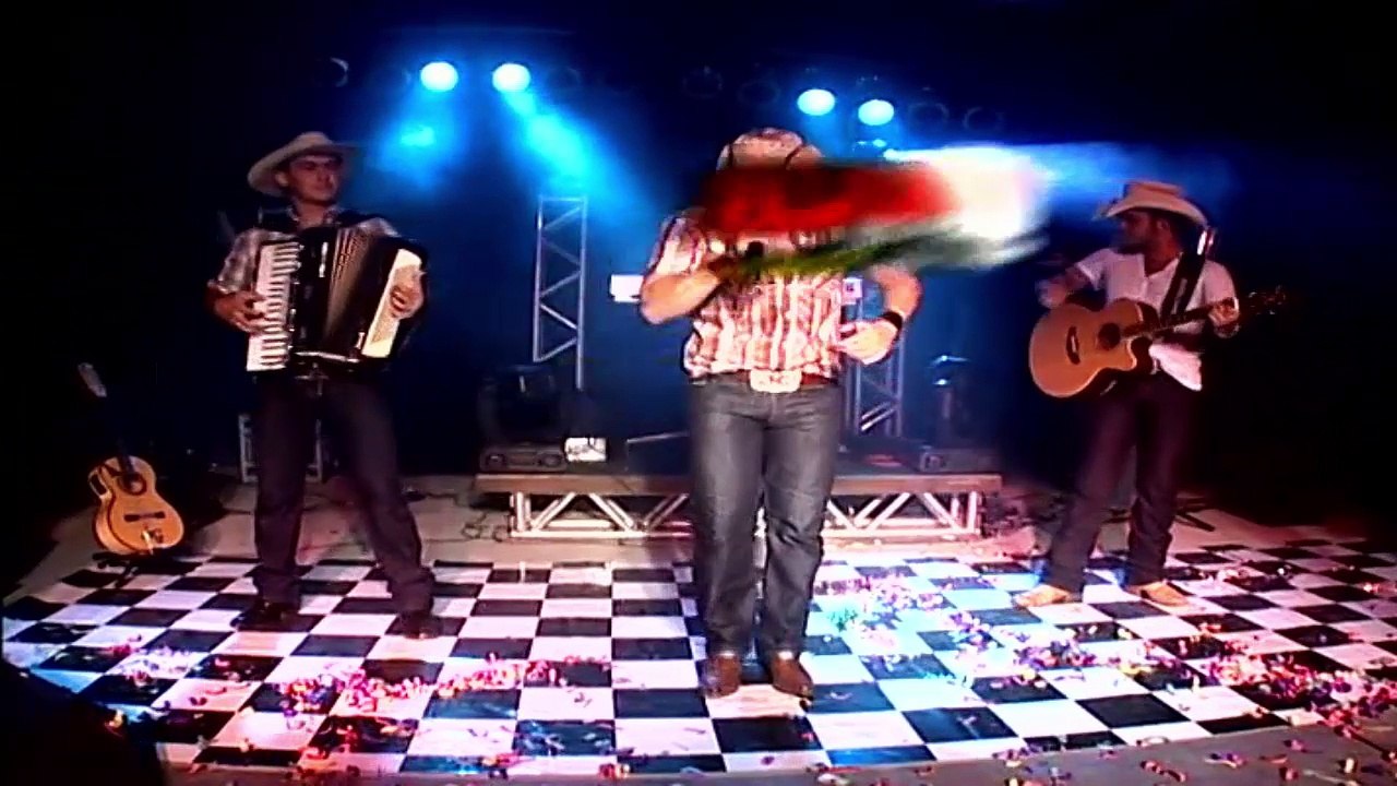 DVD ALEMÃO DO FORRO VOL  01   PARTE O2