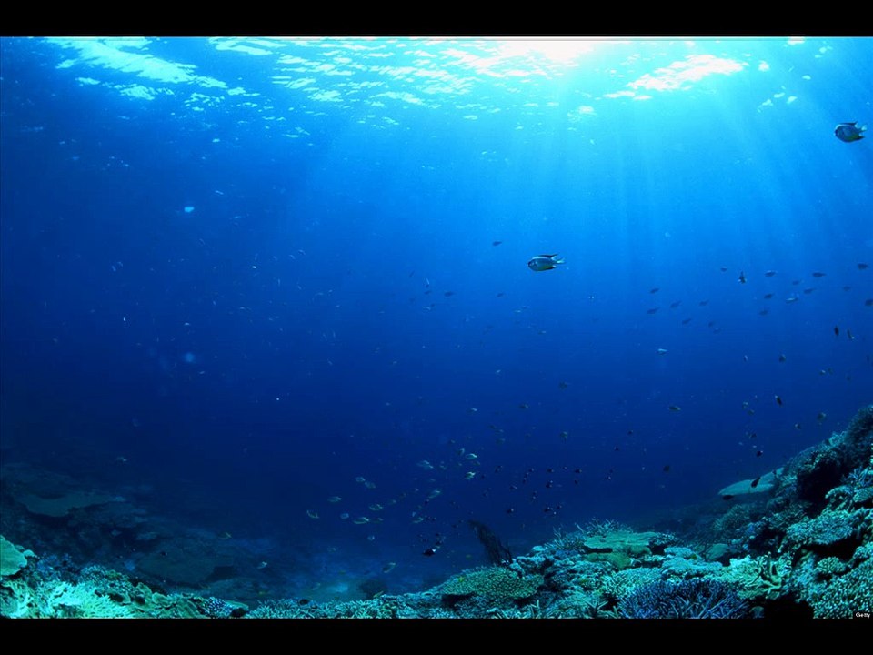 Ocean - Zivot bez tebe (Morris master mix)