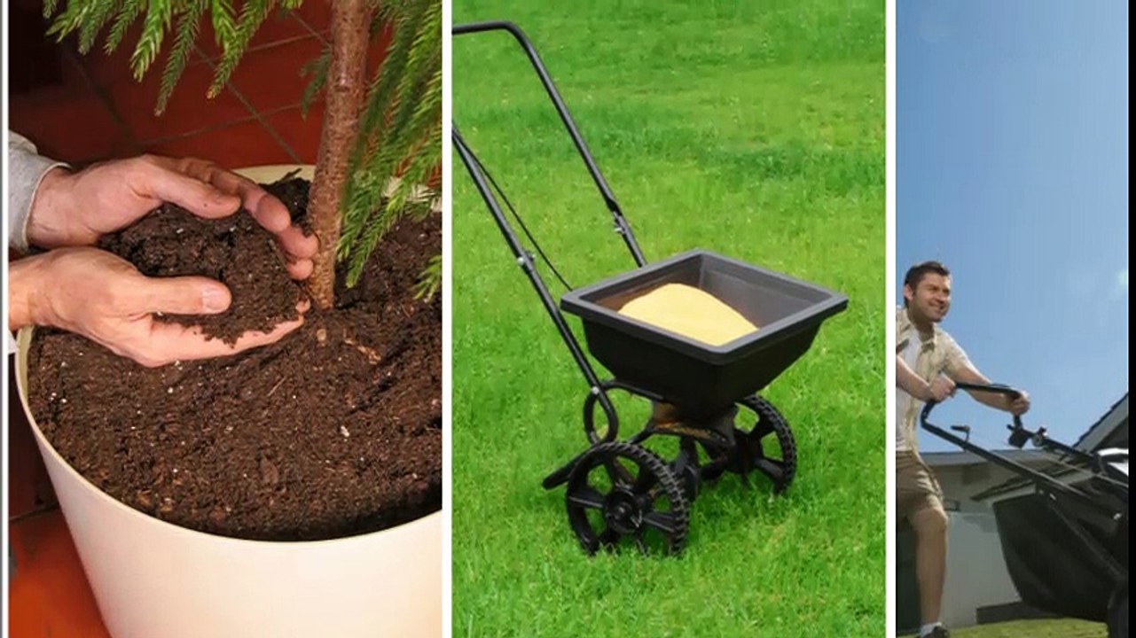 Dj's Landscaping - (843) 885-1096