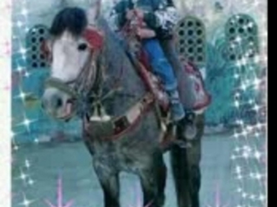 Save Video As - Salam