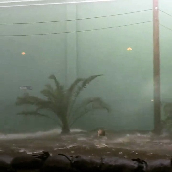 Category 5 movie - BTS