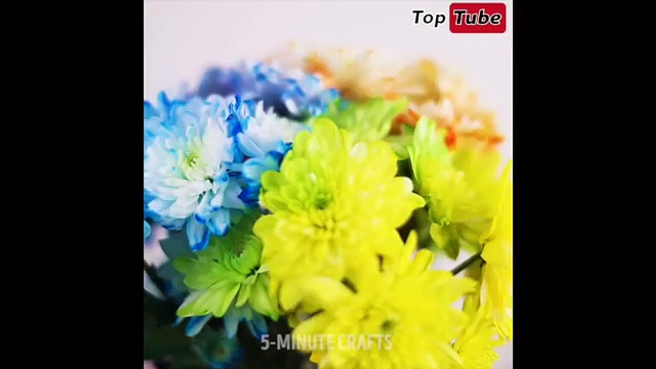 [5-MINUTES CRAFT] TOP 5-MINUTES CRAFT