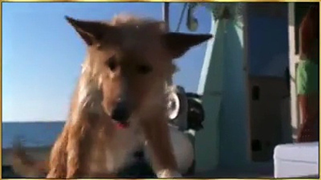 Amazing Video to Watch 🎥