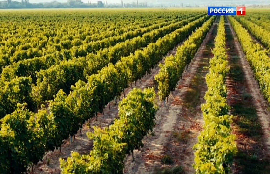 Саша добрый, Саша злой 1 серия