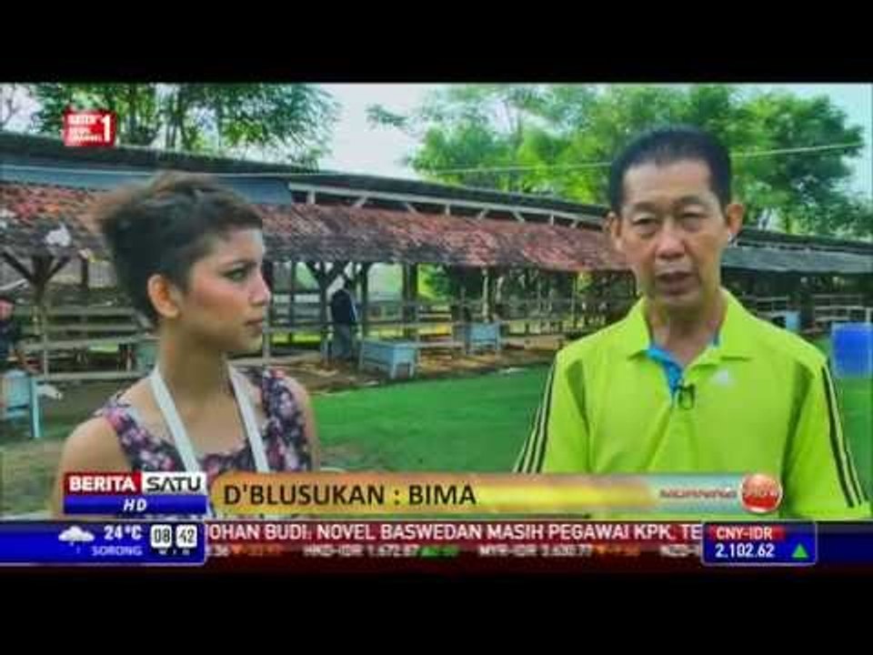 D'blusukan ke Kota Bima 🌅