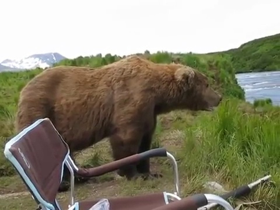 Pas si bête la bête!!!!