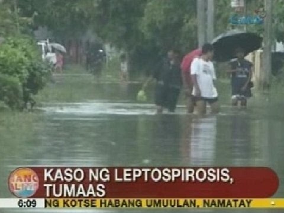 UB: Kaso ng leptospirosis, tumaas