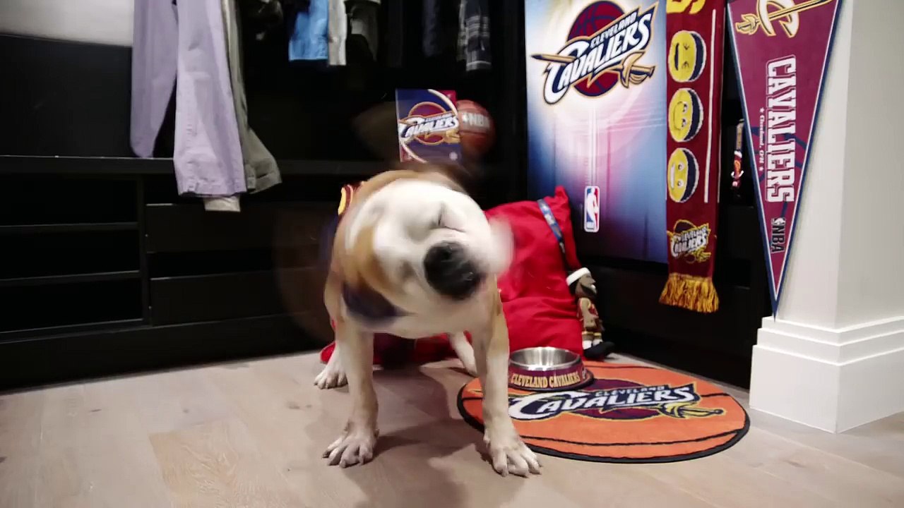 #TheSecretLifeOfNBAPets ft. Kevin Durant & Russell Westbrook (HD)-faWsc1gWuQI
