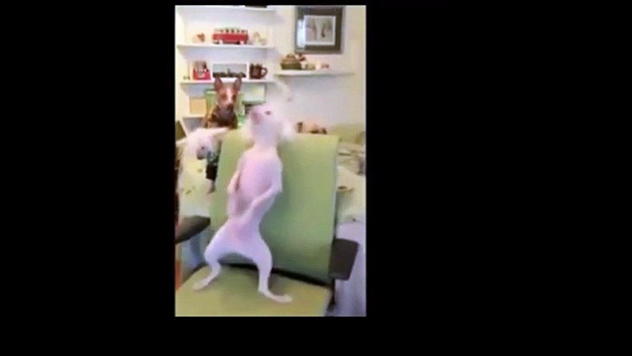 Угар полный | ЛУЧШИЕ ПРИКОЛЫ Ютуб