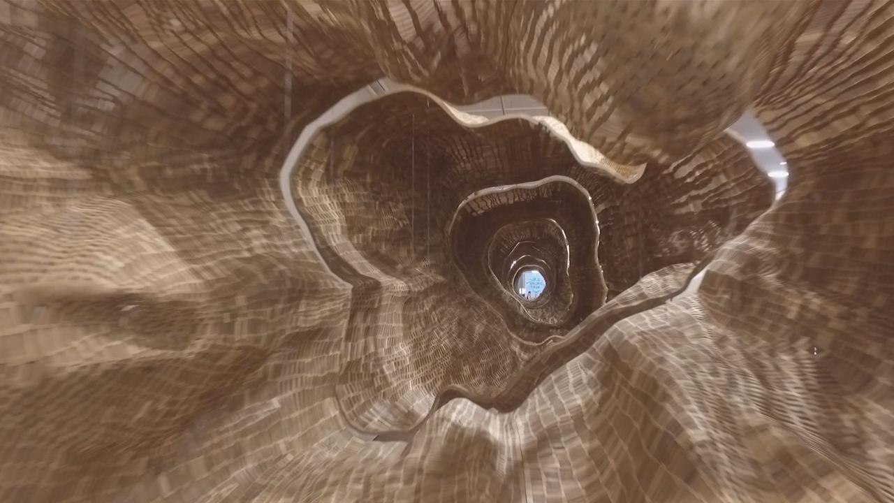 A beginner's guide to Davos