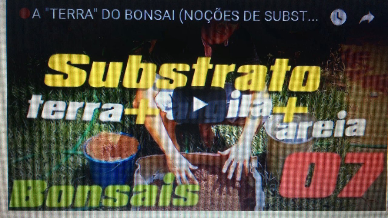 A TERRA DO BONSAI (NOÇÕES DE SUBSTRATO) - BonsaiCurso #05