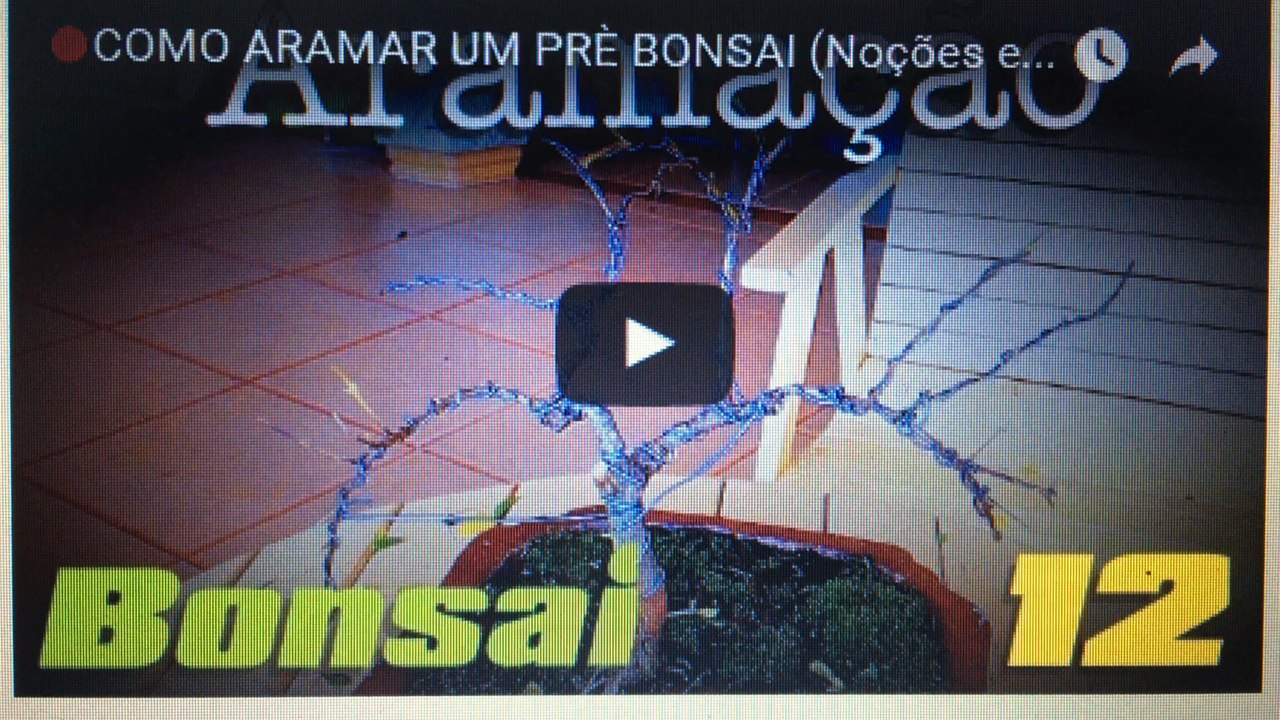 COMO ARAMAR UM PRE BONSAI (Noções e Demonstração)- BonsaiCurso #11