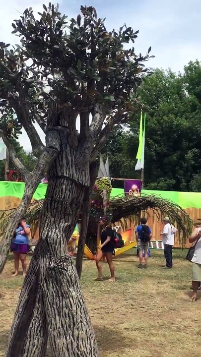 Amazing Video to Watch 🎥