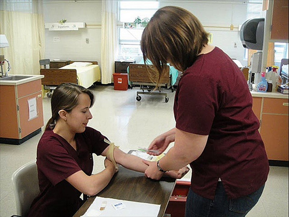 phlebotomy career