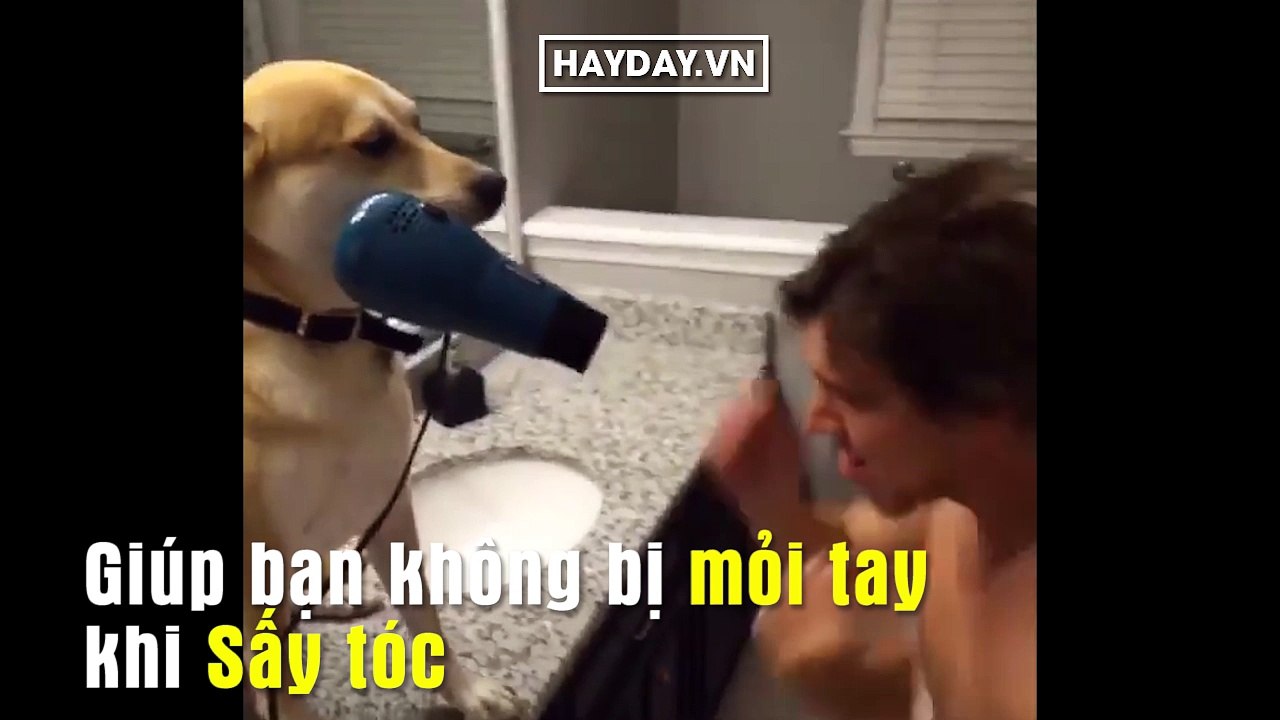 Những điều mà FA thường làm :))