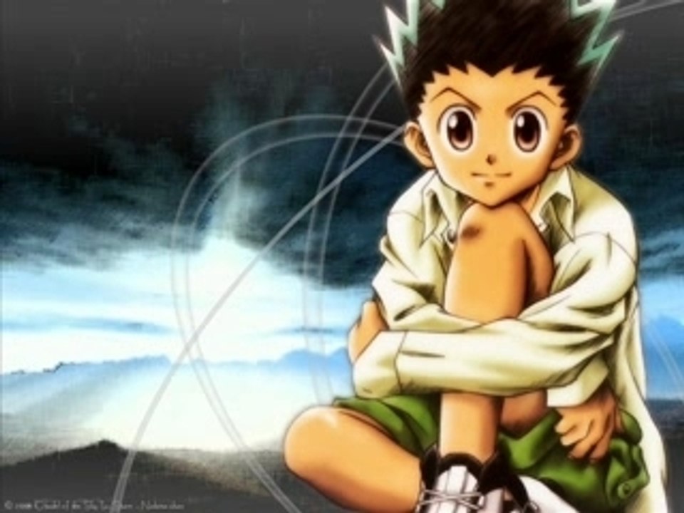 Hunter x hunter