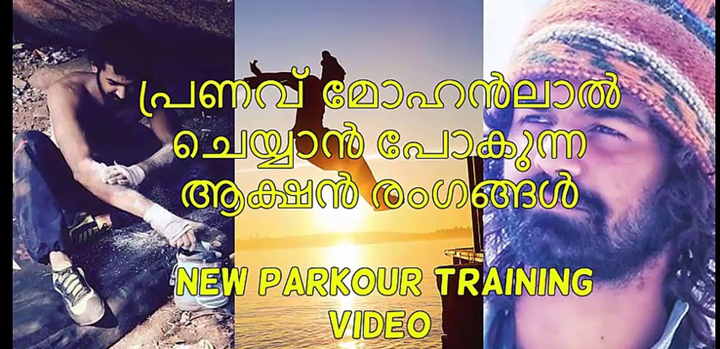 Pranav Mohanlal New Action Sequences | 2017