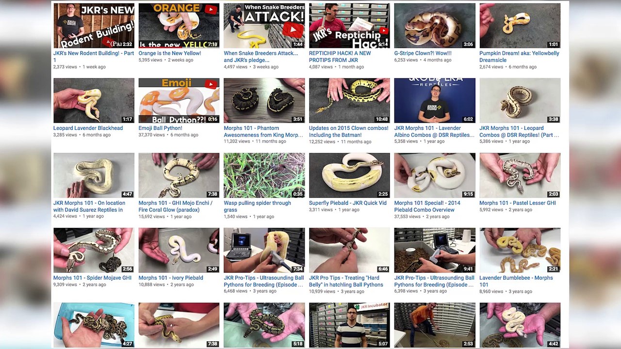 The FIRST Ever EMOJI Animal is a PYTHON!