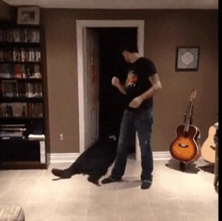 süper dans süper refleks