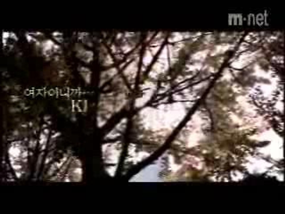 The History of Love ❤️