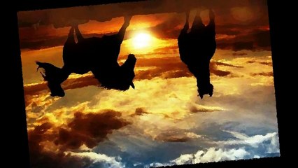 [Quantum Peculiar Technologies] Au commencement