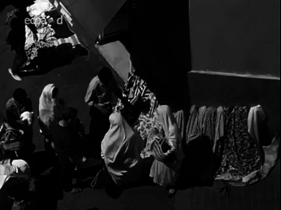 DOC Algérie coloniale : Demain l'Algérie