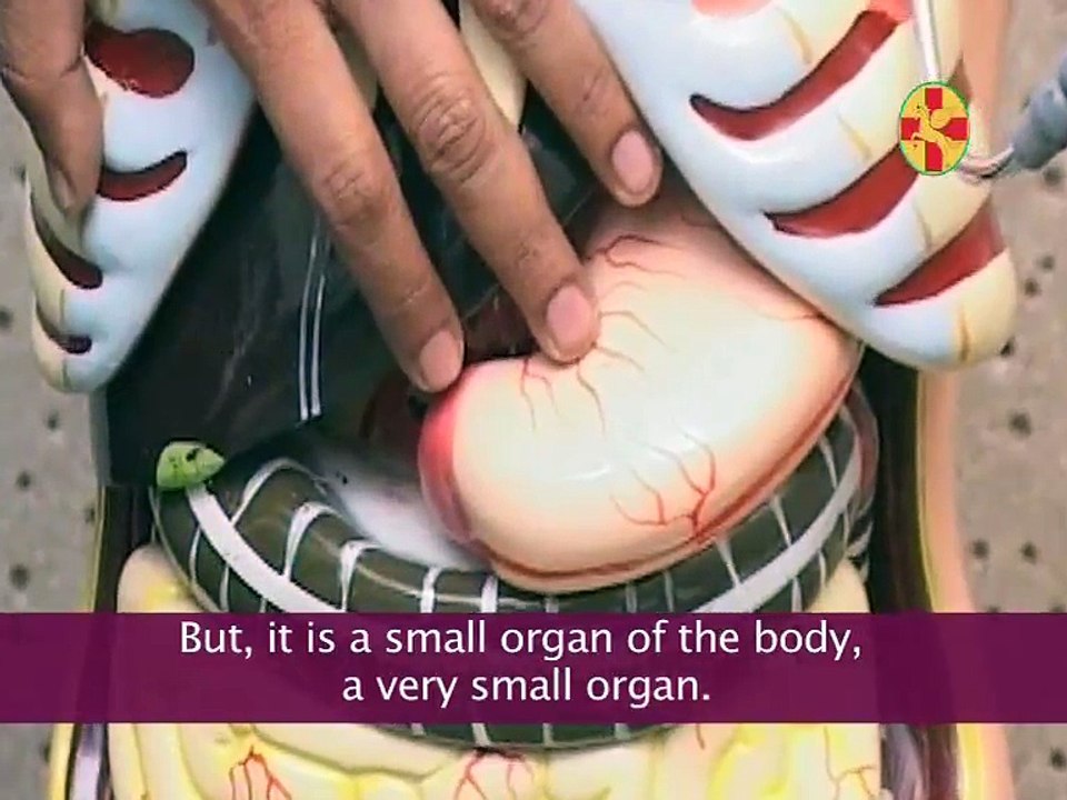 DIABETES TYPE 1 & 2 CURE in 72 HOURS