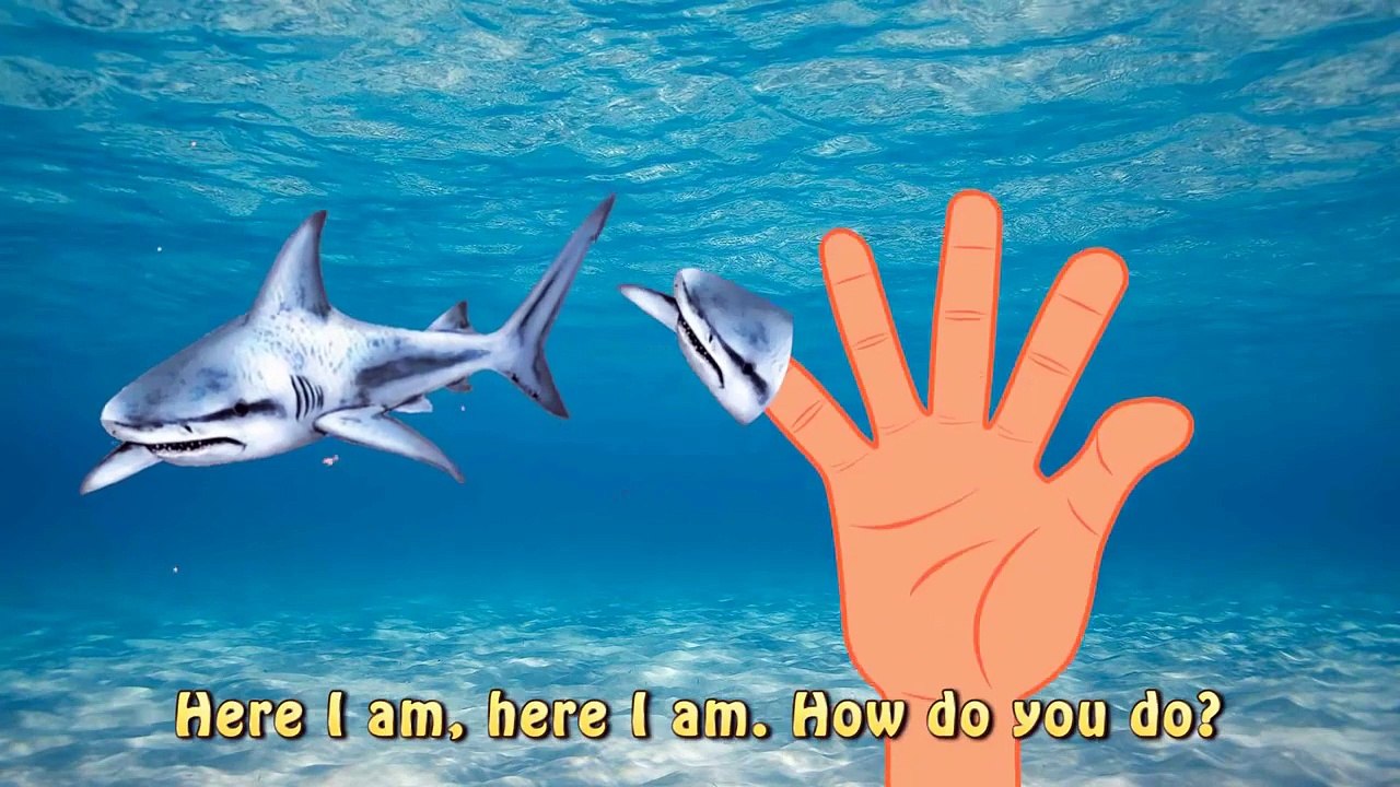 Finger Family Shark VS Shark Jaws Battle Meg