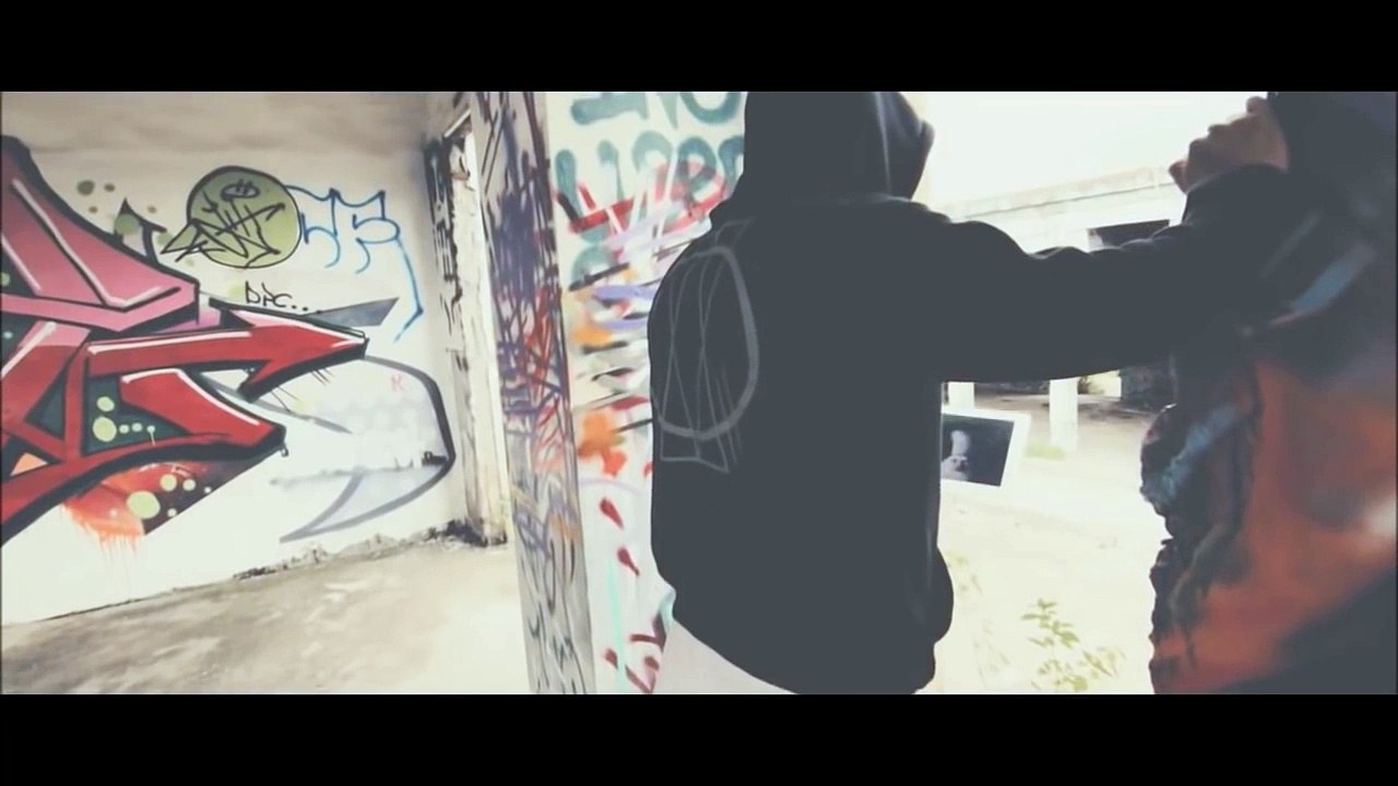 Alan Walker - Walkers Call