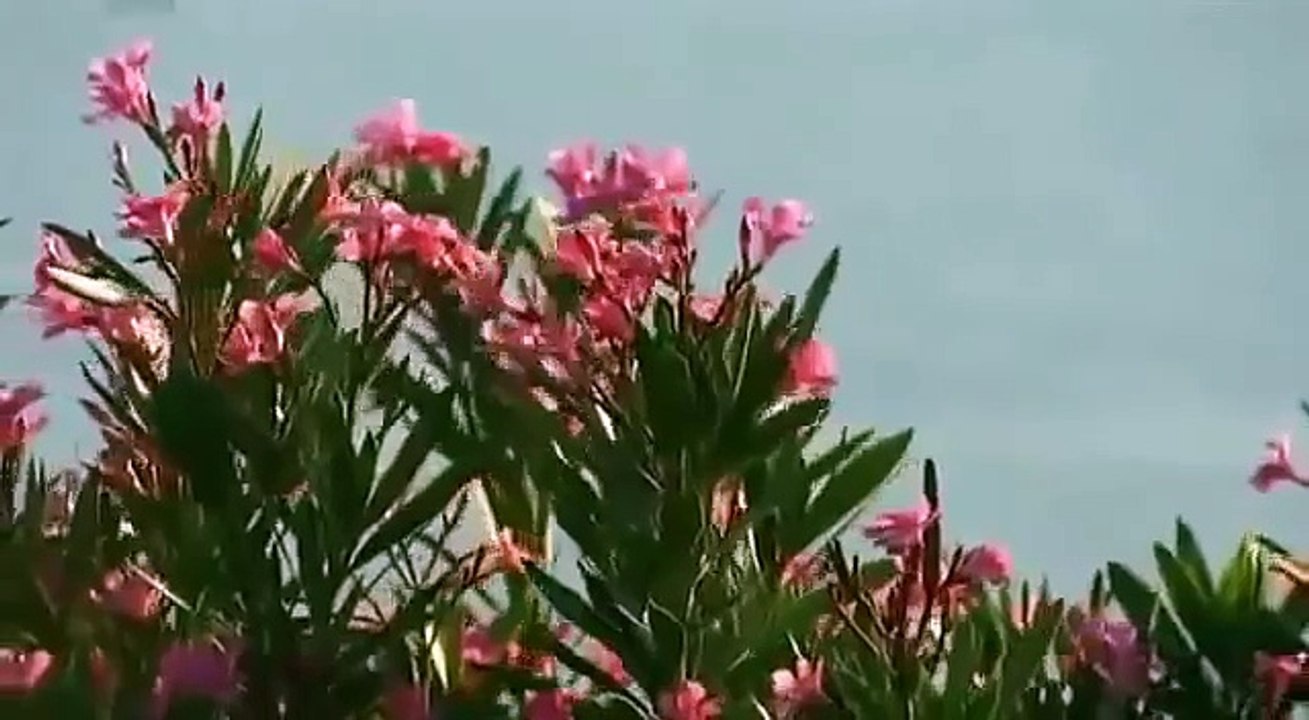 Bronze Age collapse http://BestDramaTv.Net