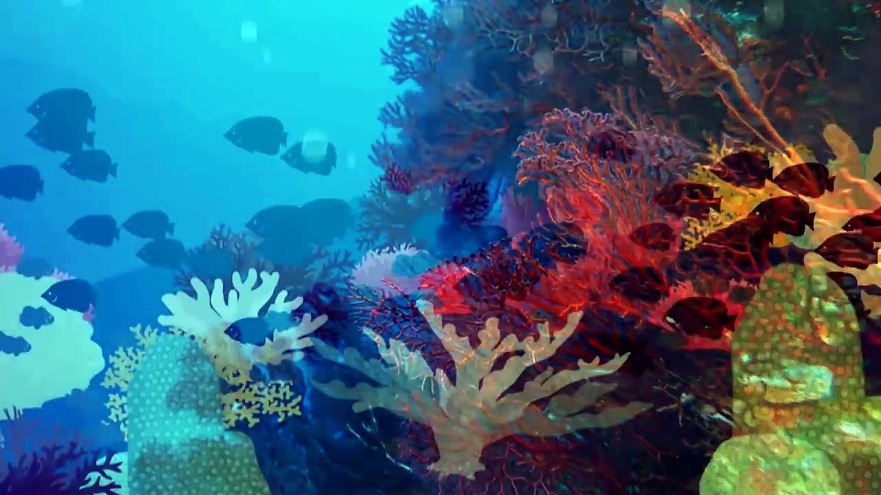documentary | world ocean day | documentary bbc science | documentary science |