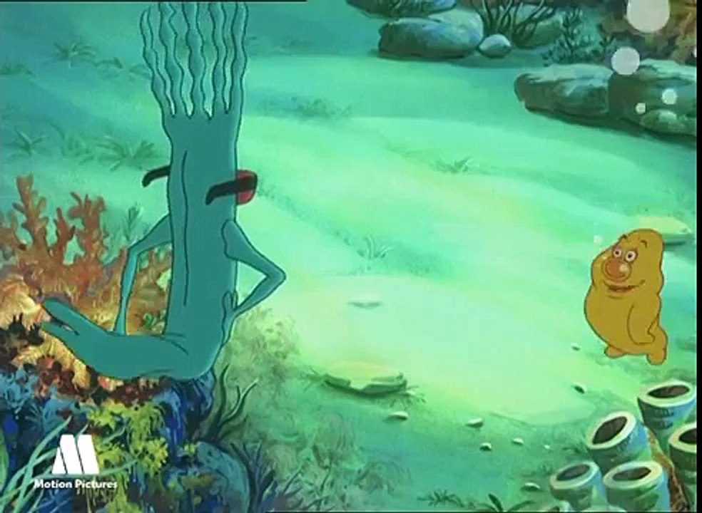 What is plankton and its importance. Educational nature videos