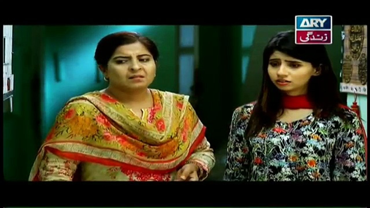 Haya-Kay-Rang---Episode-117--Top-Pakistani-Dramas