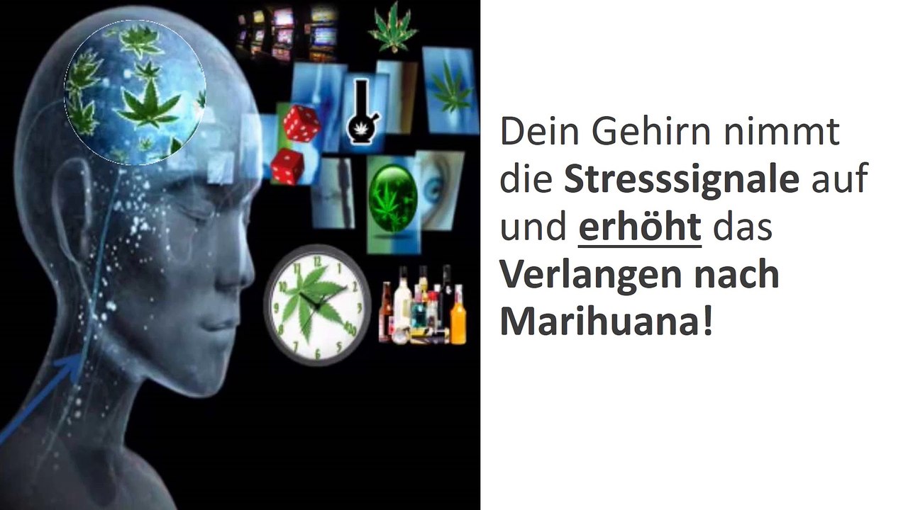 Kiffen aufhören - ENTHÜLLT! Deswegen scheiterst du beim Cannabis Entzug