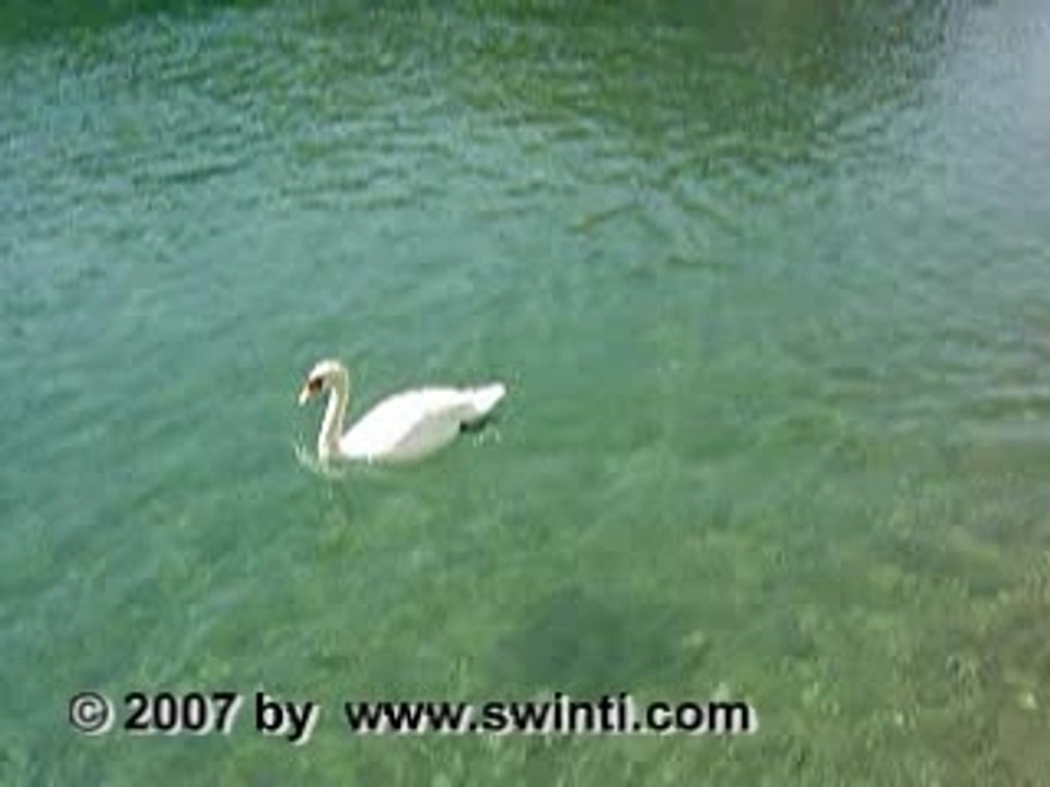 Angst Wandler - Film