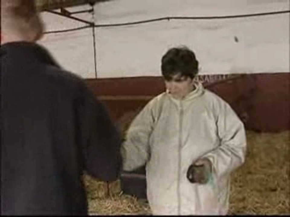 Une écurie peu banale