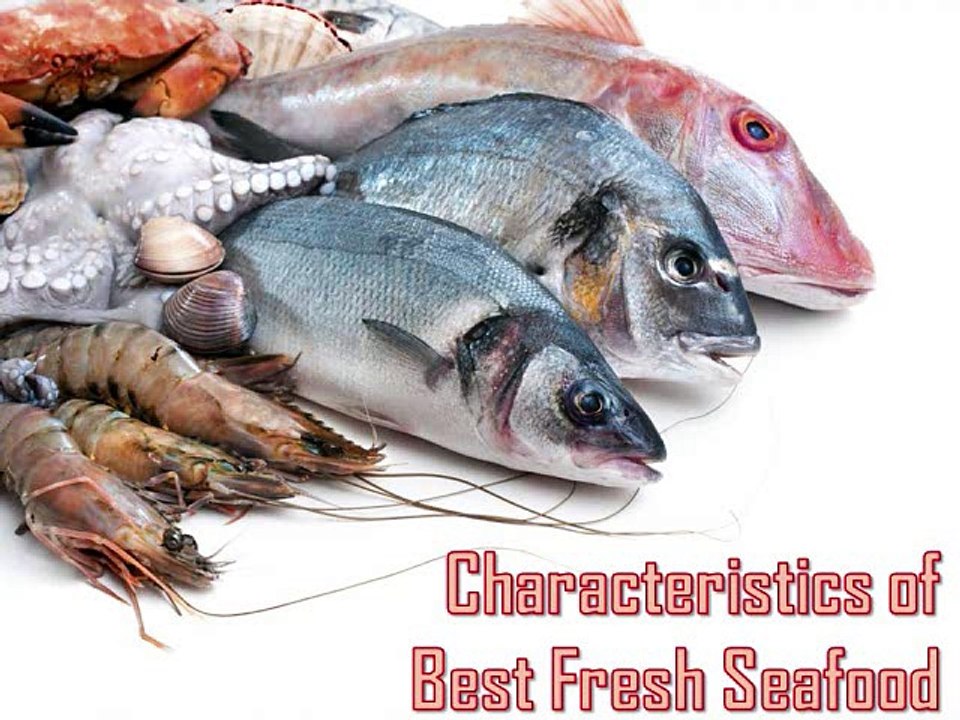 Characteristics of Best Fresh Seafood