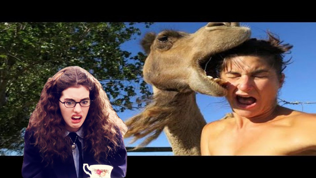 Try not laugh whatsapp videos (IMPOSSIBLE CHALLENGE)-29-(Komik whatsapp videoları)