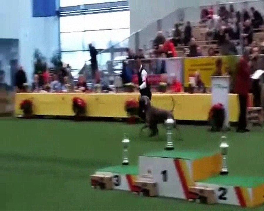 " H'ASICS " IDS karlsrhue 2016