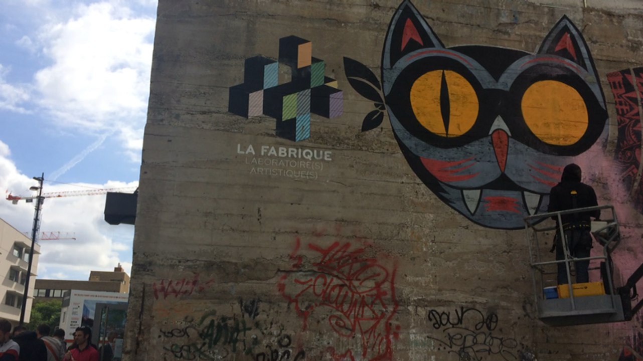 Kazy redonne des couleurs à son chat