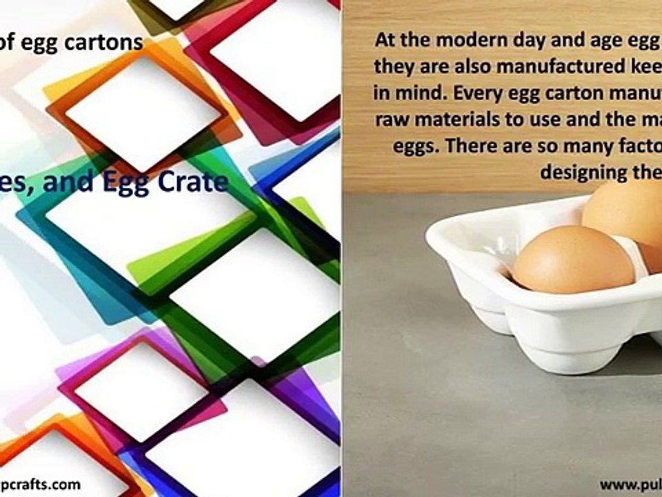 The Different Types Of Egg Carton & Applications