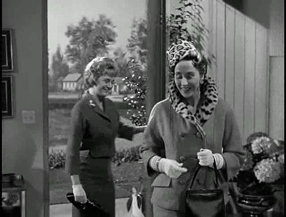 Mister Ed S02E04 - Ed The Redecorator