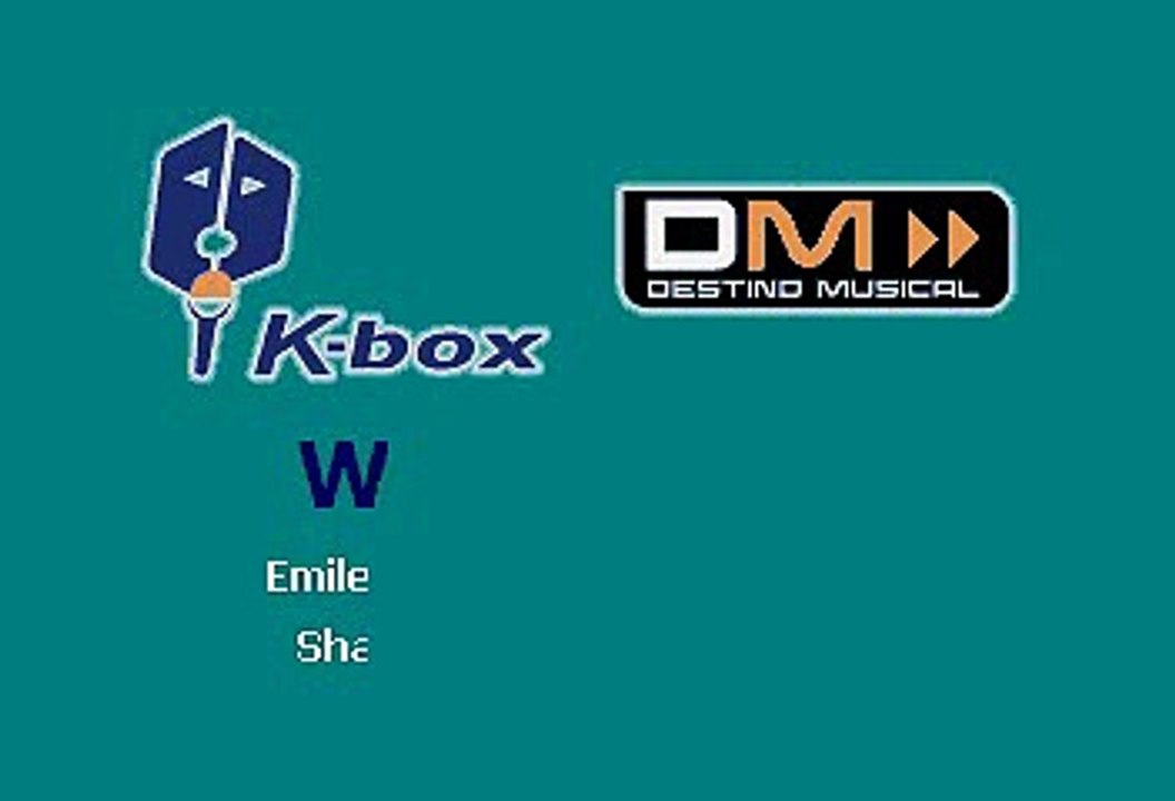 Sing Along to Shakira's Hit 'Waka Waka' Karaoke 🎤