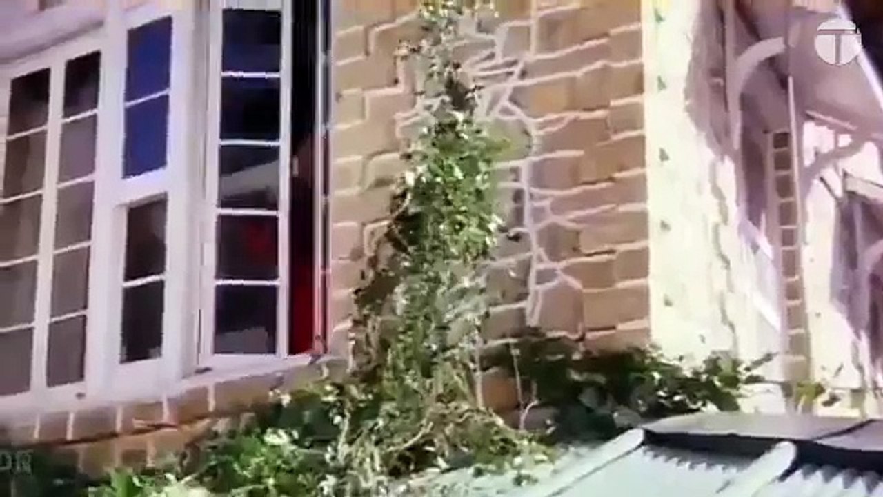 Best Bollywood Songs of the 90s 🎶