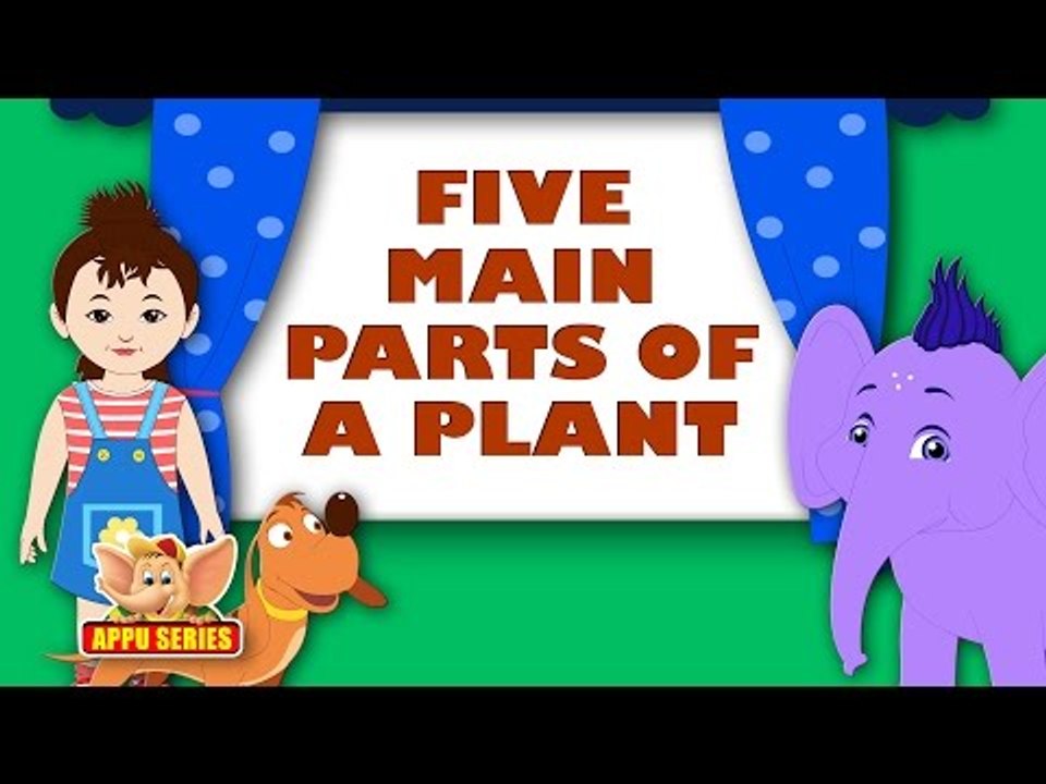 Song on Plants - Five Main Parts of a Plant in Ultra HD (4K)