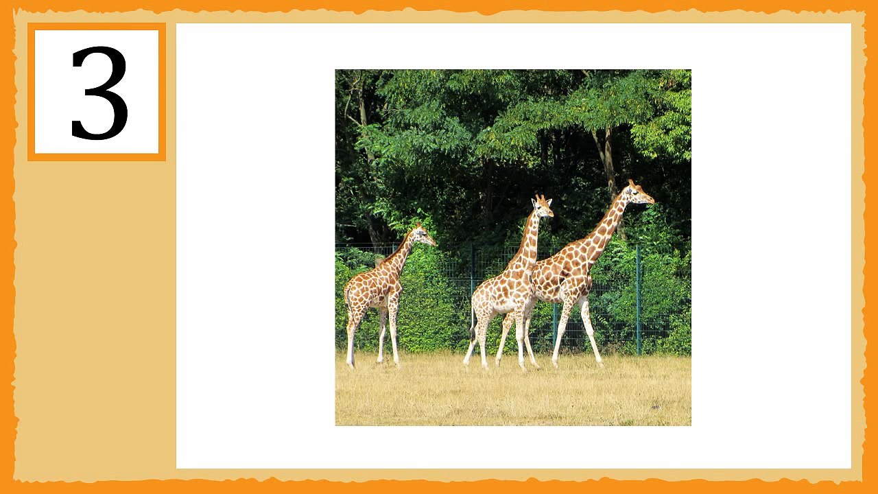 Matemáticas Grado 1 este video es mi preferido de la matemáticas