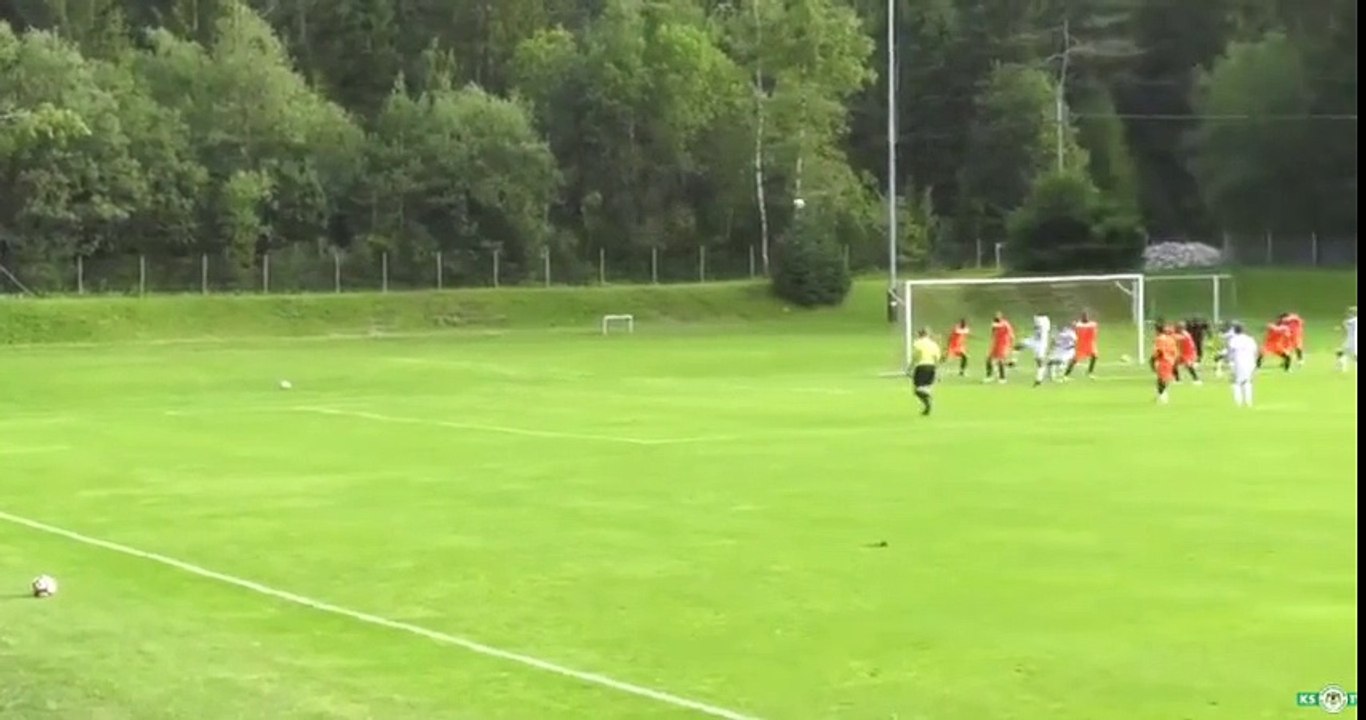 AMR-GOL1: Key Insights and Overview