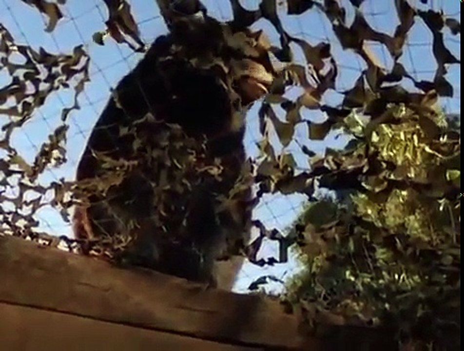 Best Hallmark Movies of 2017 🎬 - Must-Watch New Drama Releases