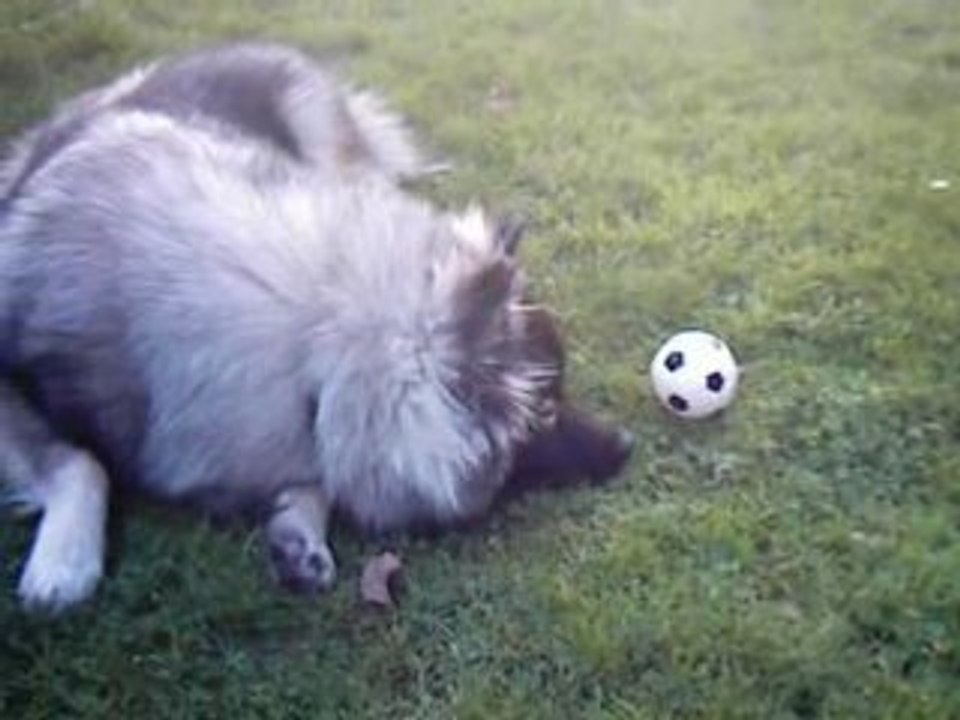 Billie 12 Album Review 🎶