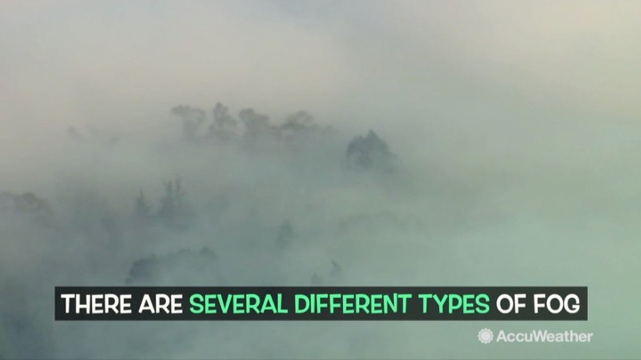 Different types of fog